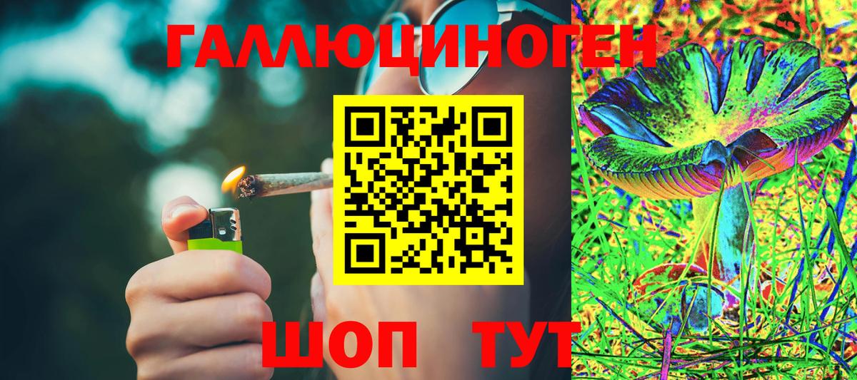 Псилоцибиновые грибы Psilocybine cubensis  Галлюциногенные грибы GOLDEN TEACHER  Вход с VPN  Бор 