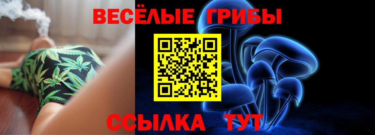 Псилоцибиновые грибы Psilocybe Бор