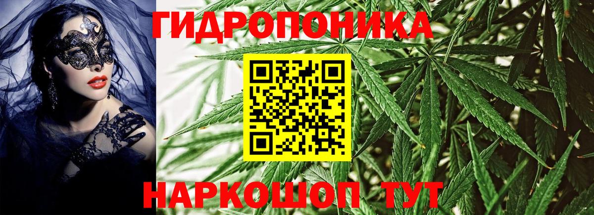 Конопля марихуана  Канабис марихуана  Вход с VPN  Бошки марихуана Bruce Banner  Канабис план  Бор 